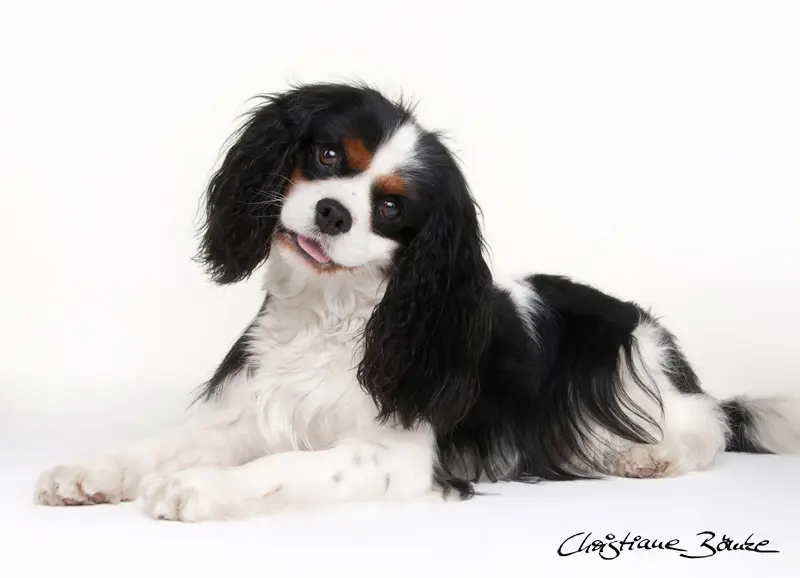 Andachtsbild von Renate