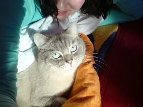 Image from Teddy