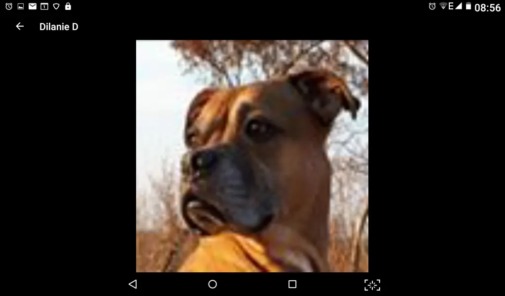 Image from Balu