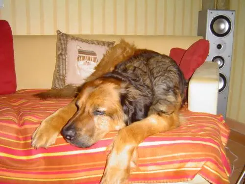 Bild von Wobber