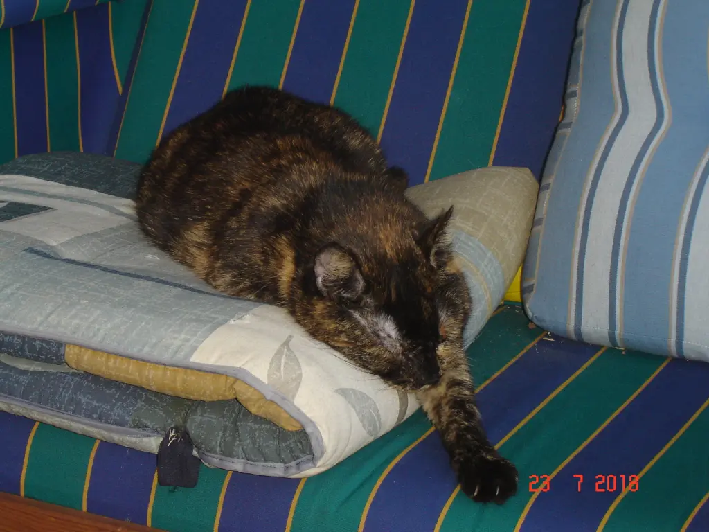 Condolence image of Erika