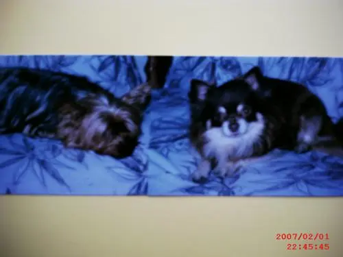 Bild von Farina und Leon