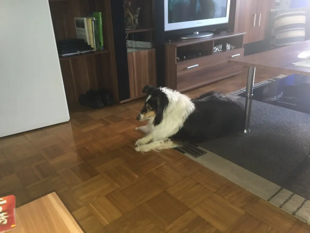 Image from Yosie