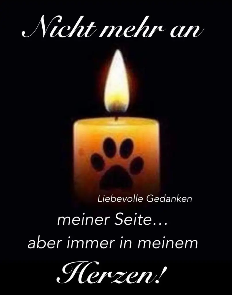 Condolence image of Markus