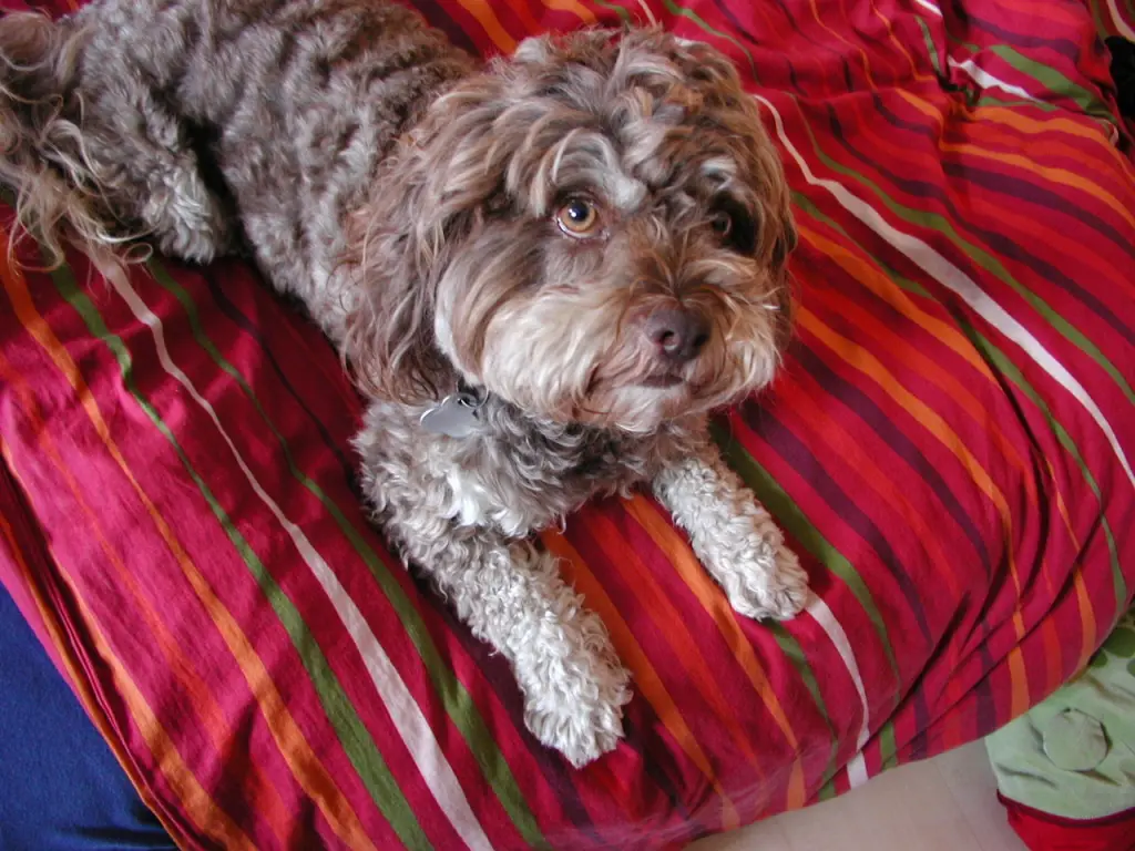 Condolence image of Bettina