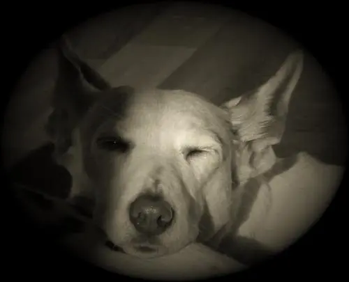 Image from Mona