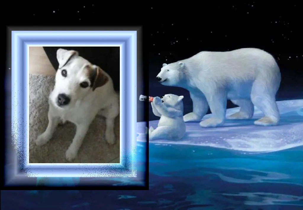 Condolence image of Klaudia mit Misiu❤❤❤Ganz Tief im Herzen❤