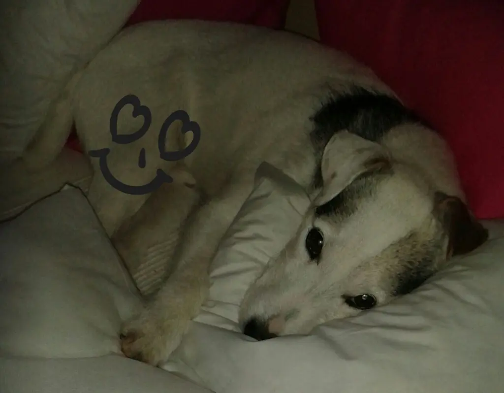 Condolence image of von Mama