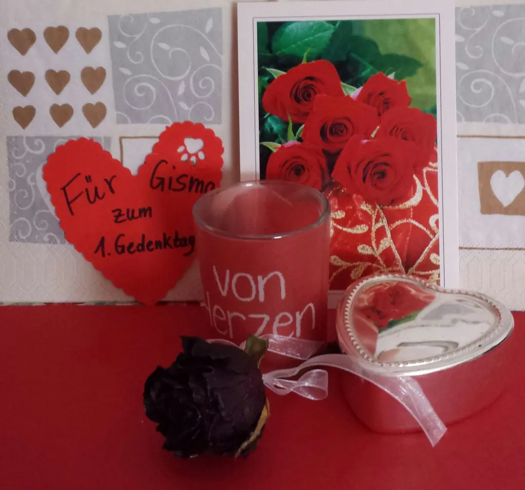 Condolence image of Ilse mit Jule, Gismo, Fee und Minna tief im Herzen