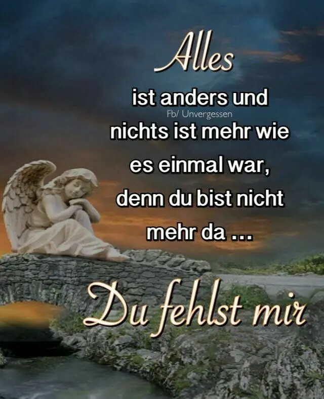 Condolence image of Ilse mit Tier-Sternlein Jule, Gismo, Fee und Minna im Herzen