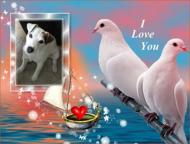 Condolence image of ❤️❤️❤️2.JAHRE❤️❤️❤️