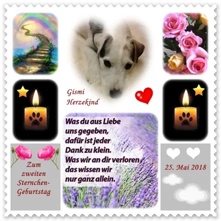 Condolence image of Ilse mit ihren geliebten Sternlein im Herzen