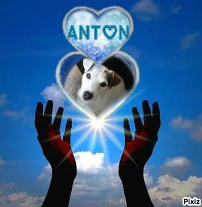 Condolence image of ❤️Gute Nacht❤️❤️