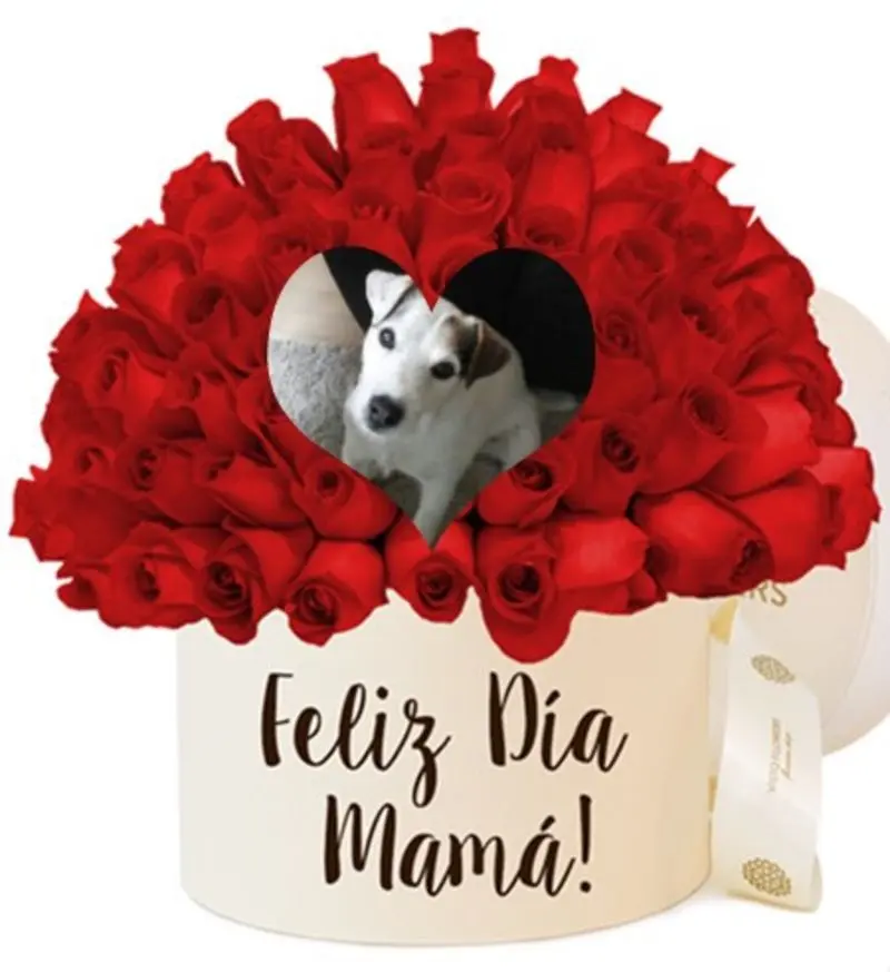 Condolence image of ❤️Mama❤️