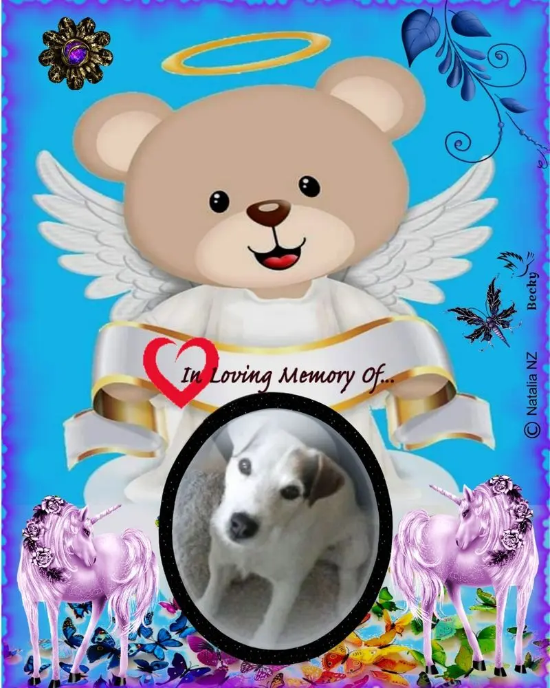 Condolence image of ❤️3. Sternchen❤️Gedenktag❤️
