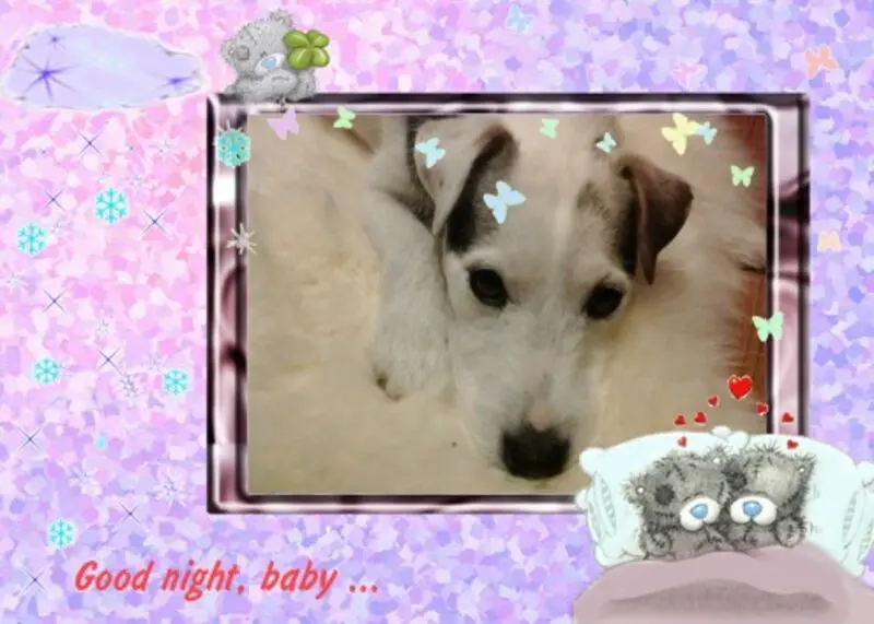 Condolence image of Gute Nacht❤️❤️❤️