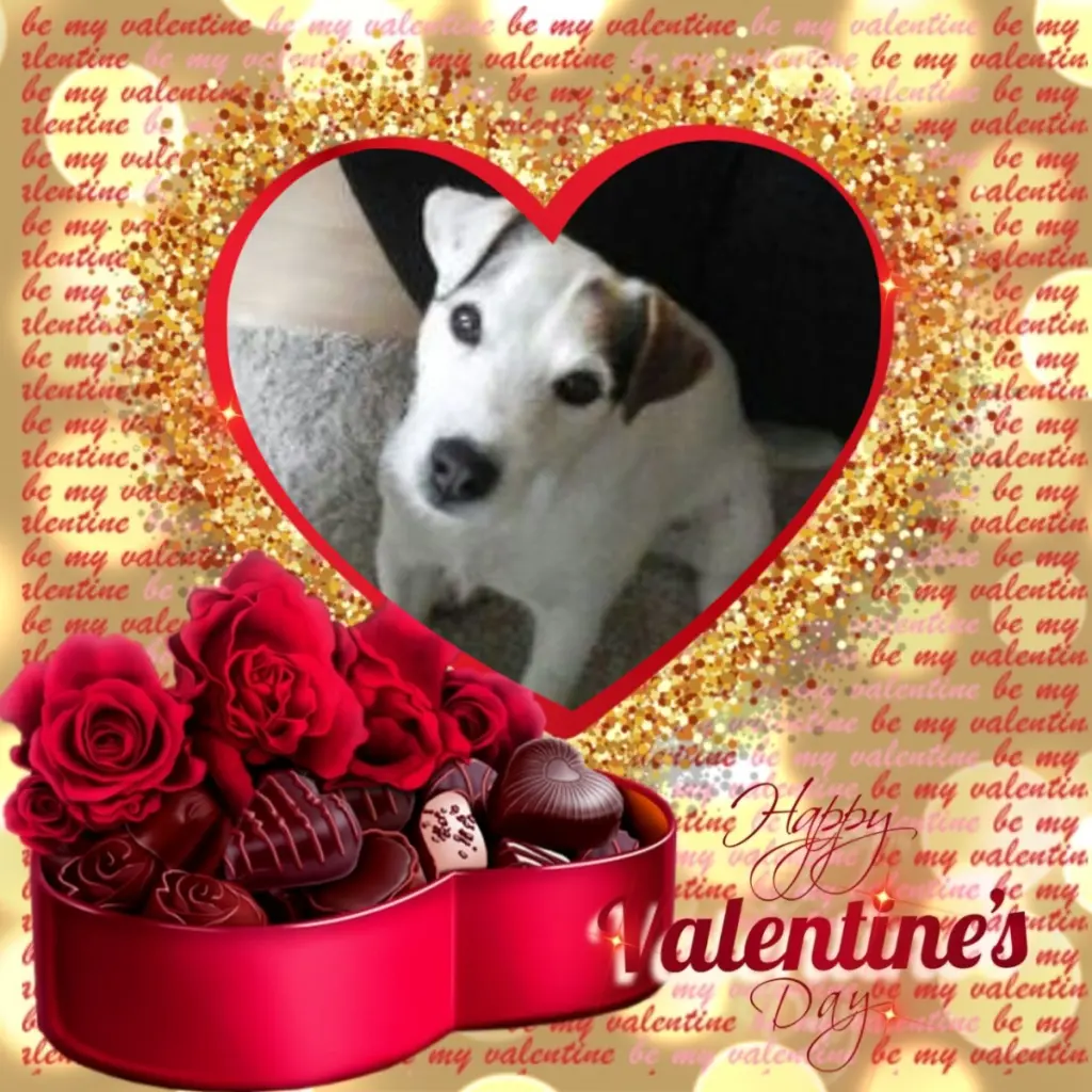 Condolence image of Valentins❤️Rosen❤️❤️❤️❤️❤️❤️❤️❤️
