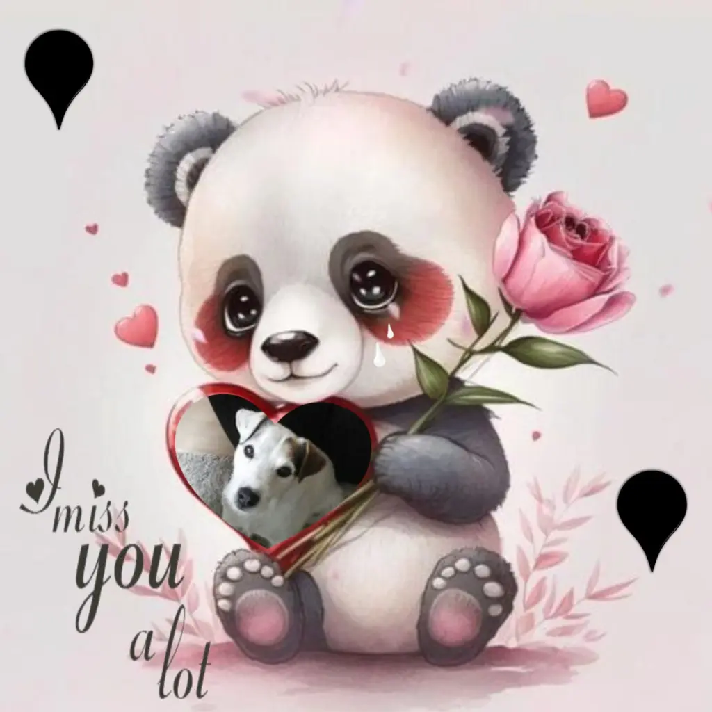 Condolence image of Sonntags❤️Rosen❤️❤️❤️❤️❤️❤️