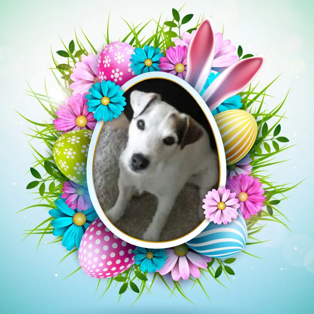 Condolence image of Frohe❤️❤️❤️Ostern❤️