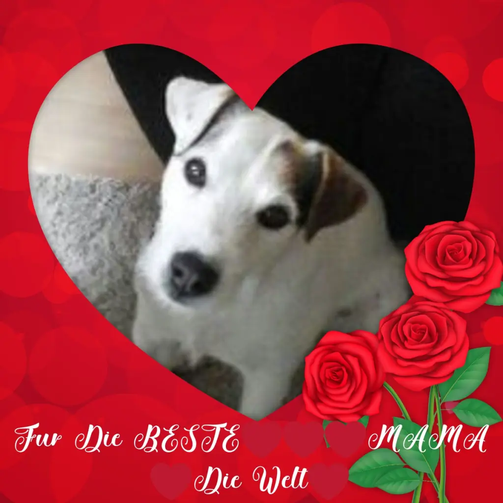 Condolence image of Rosen❤️❤️❤️fur Mama❤️