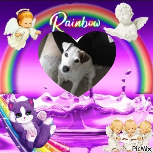 Condolence image of 5.Sternchen❤Gedenktag❤❤❤❤❤