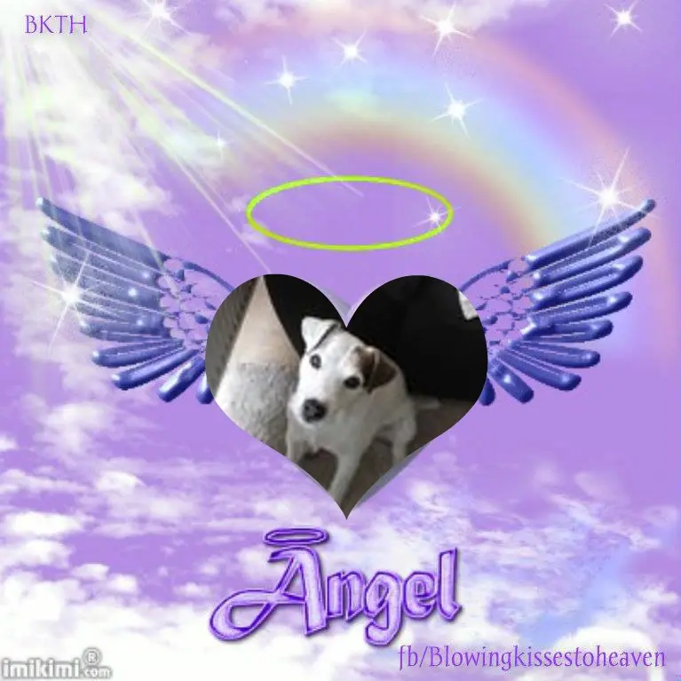 Condolence image of 5.Sternchen❤Gedenktag❤❤❤❤❤