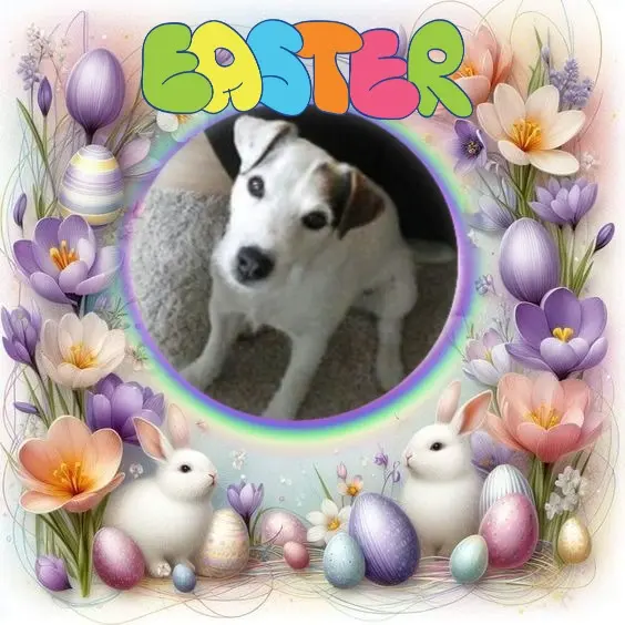 Condolence image of Frohe❤️❤️❤️Ostern❤️