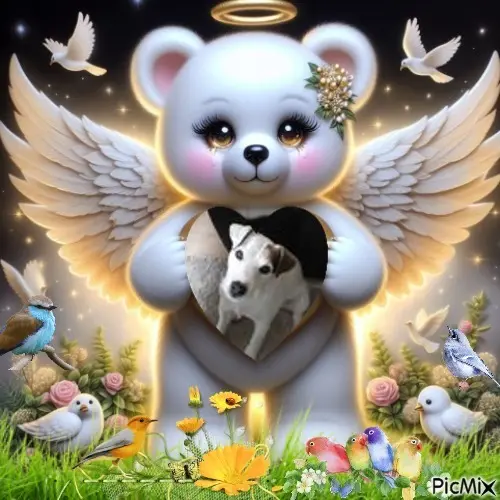 Condolence image of 6.Sternchen⭐️Gedenktag❤️❤️❤️❤️❤️❤️