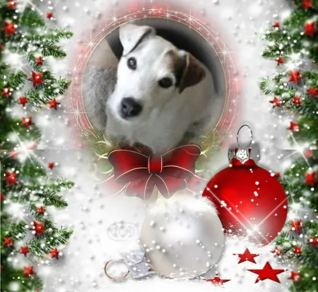 Condolence image of Frohe Weihnachten❤️⭐️❤️