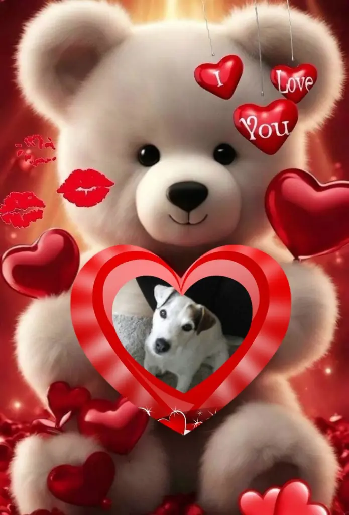 Condolence image of ❤️❤️❤️❤️❤️❤️❤️❤️❤️❤️❤️❤️