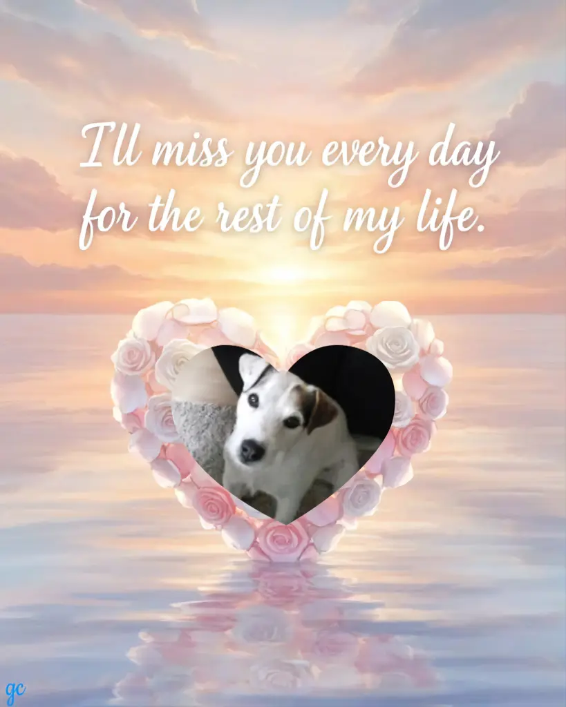 Condolence image of ❤️❤️❤️❤️❤️❤️❤️❤️❤️❤️