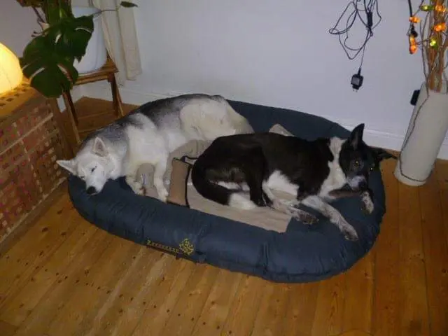 Condolence image of Ute & Conny
