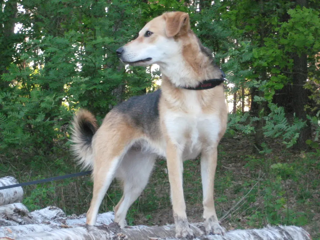 Image from Lotta