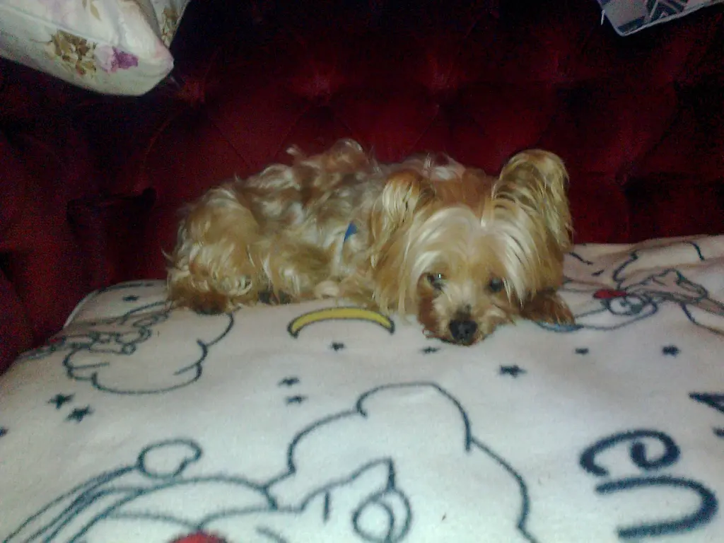 Image from Betty