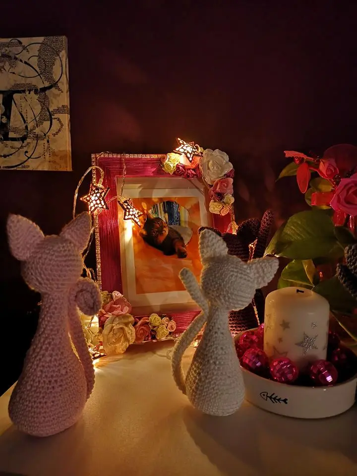 Condolence image of Mandy