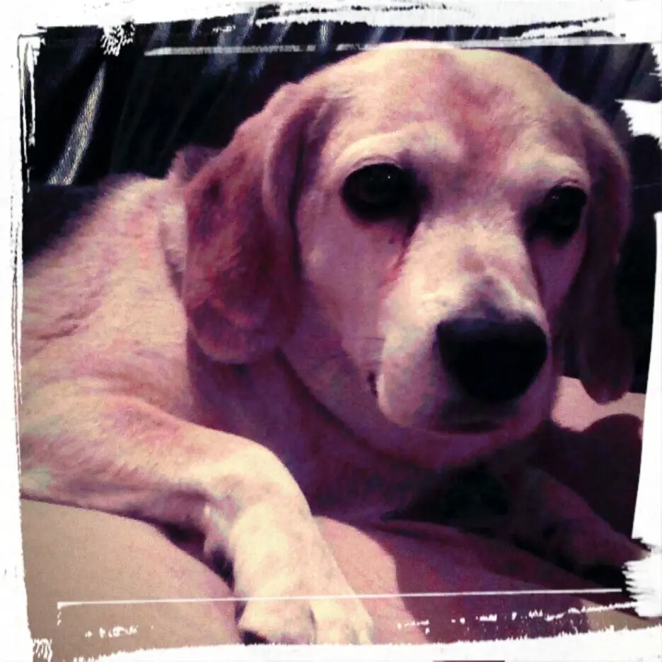 Image from Jimmy