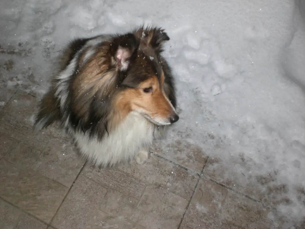 Andachtsbild von Brigitte