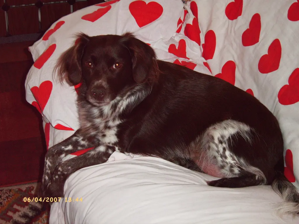 Andachtsbild von Edelgard + Rainer Prinz