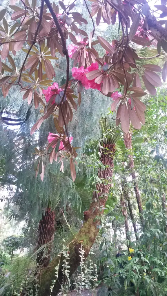 Andachtsbild von Sabine