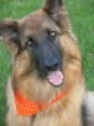 Image from Sandy
