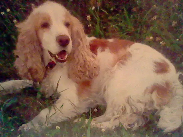 Image from Lexi