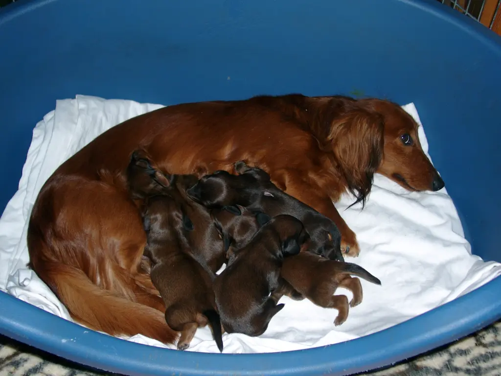 Image from Jezebel