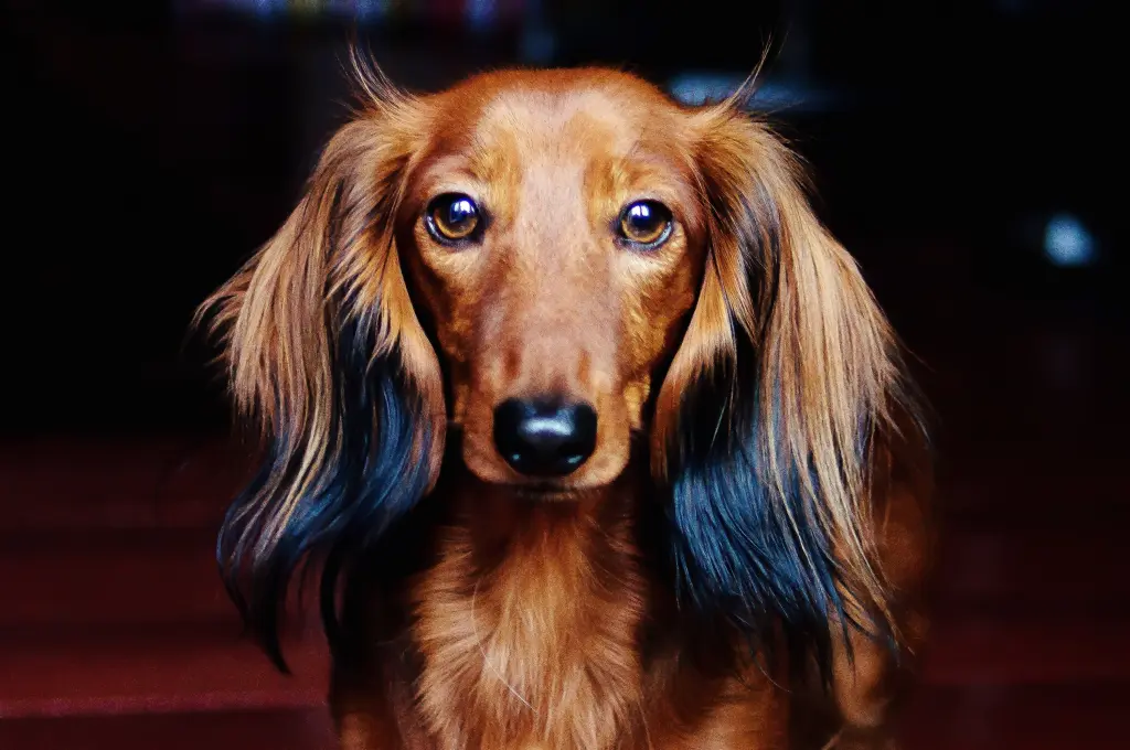 Image from Jezebel