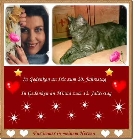 Andachtsbild von deiner Ilse, 12 Jahre ohne dich