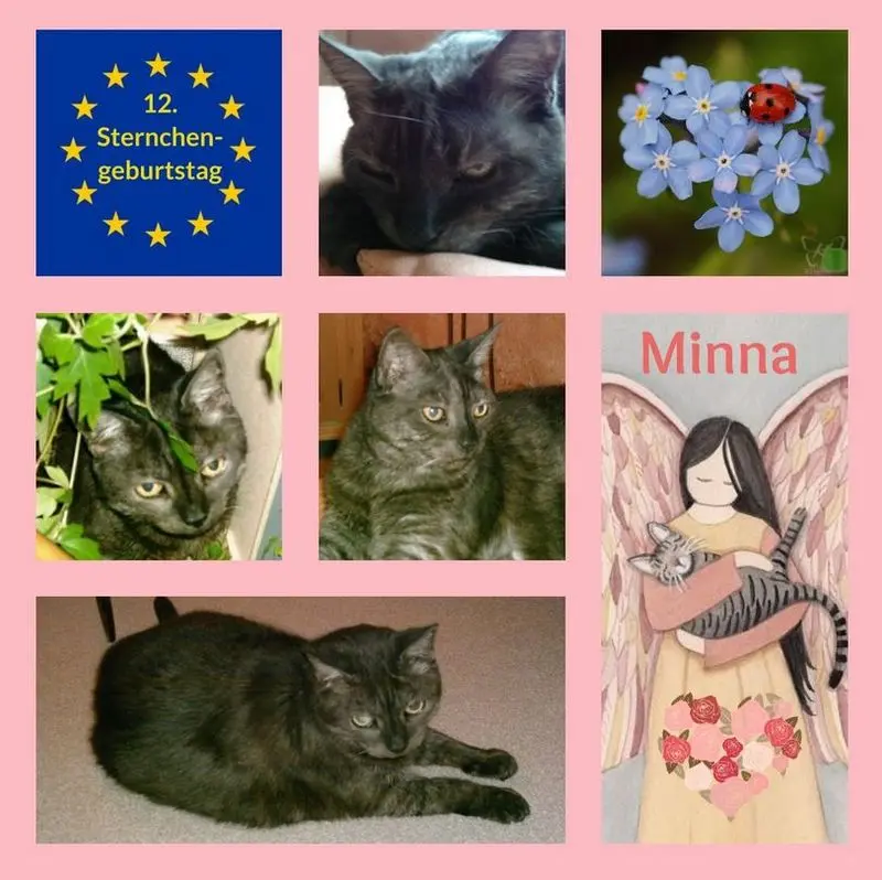 Andachtsbild von Rosen für Minna - 12 Jahre ein Engel