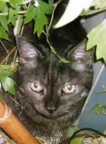 Bild von Minna