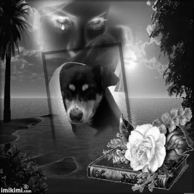Image from Sally