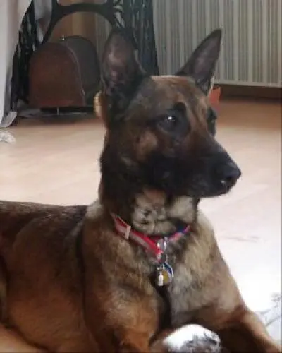 Image from Ronja - mein Schatz