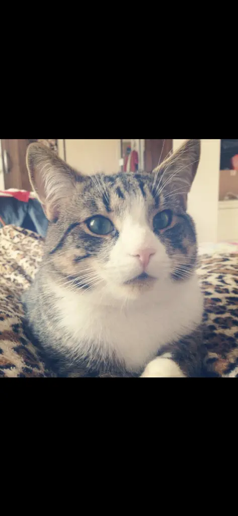 Image from Milow 