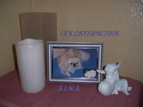 Image from ? Meine geliebte Sina ?